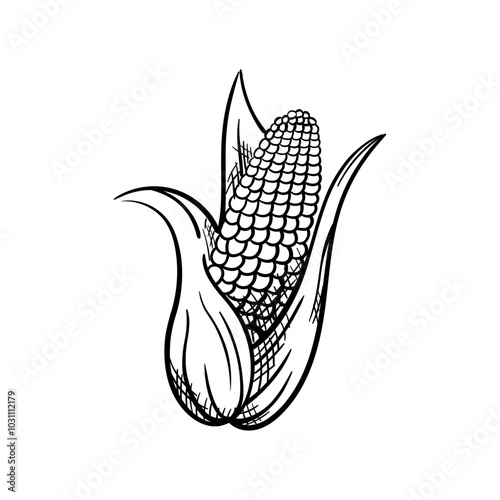 Corn Hand-Drawn Food Vector Icon