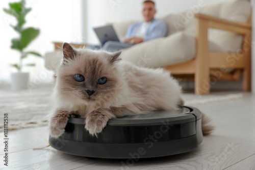 Young man using laptop at home and cute cat on robotic vacuum cleaner, selective focus photo