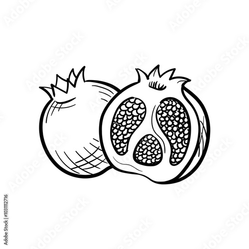 Pomegranate Hand-Drawn Food Vector Icon