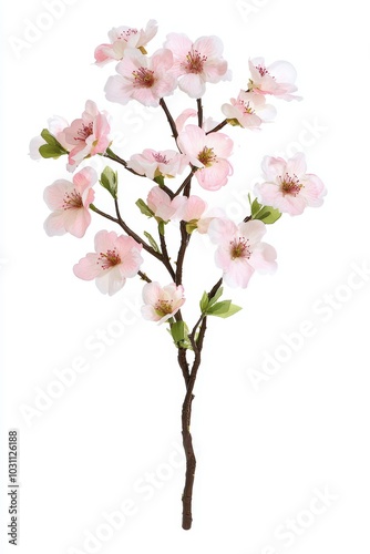 Delicate Pink Cherry Blossom Bouquet Arrangement