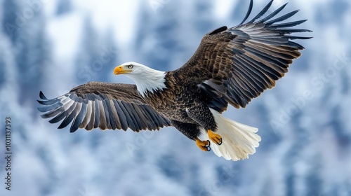 Majestic Bald Eagle in Ultra-Realistic Product Photography Isolation Setting