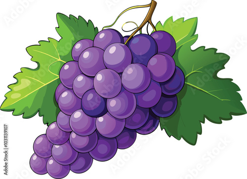 Bunch of a grapes, vector illustration 