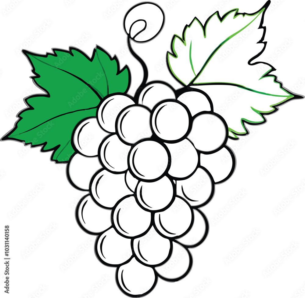 Bunch of a grapes, vector illustration Bunch of a grapes, vector illustration