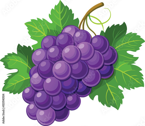 Bunch of a grapes, vector illustration 