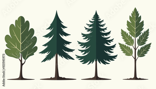 Illustration of four distinct tree types showcasing diverse leaf shapes and patterns against a light background.