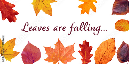 Autumn Leaves Header