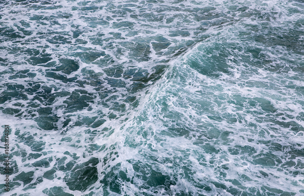 Fototapeta premium Dunedin, New Zealand