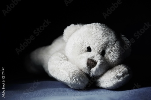 Cuddly bear that gives a feeling of mourning for a deceased child in black and white. Saying goodbye to small children and young lives. A toy from daughter or son after illness and death.