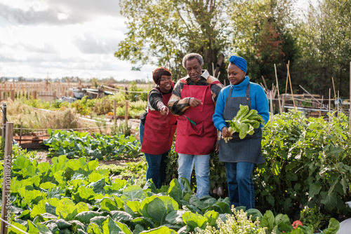 Family collecting vegetables in their urban garden to eat kilometer 0 produce