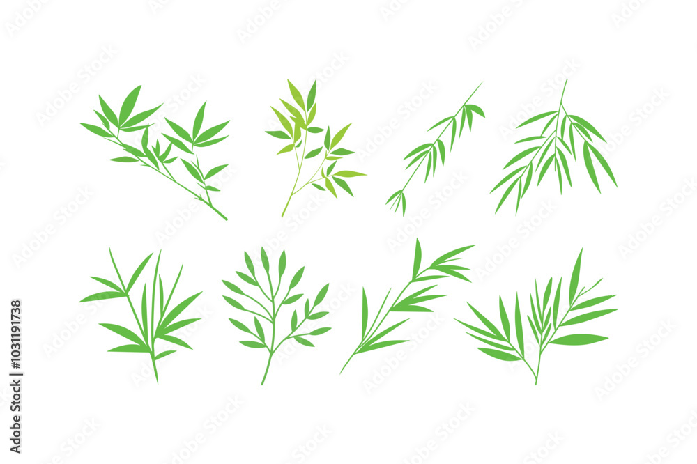 Fototapeta premium Assorted Green Foliage - Stylized Leaf Designs.