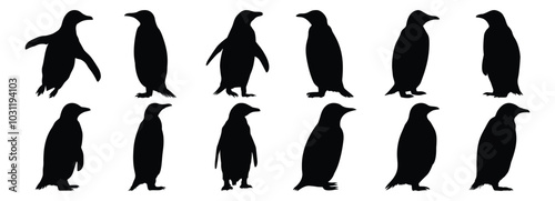 Penguin silhouettes set, bird pack of vector silhouette design, isolated background