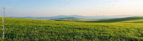 A serene plateau covered in lush green grass, with a distant mountain range meeting the sky on the horizon, peaceful and open, plateau grass horizon