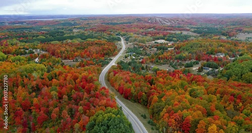 Aerial view of stunning autumn colors outside of Bellaire, Michigan.  photo