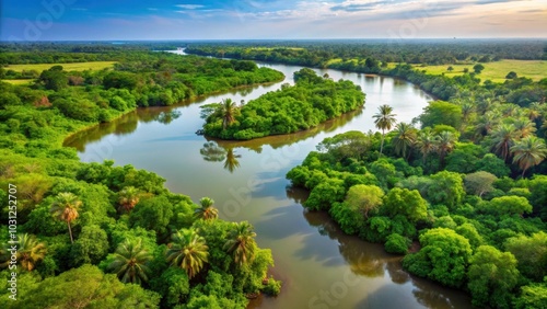 Lush landscape of West Kiang National Park in Gambia with dense vegetation and meandering river, Gambia photo