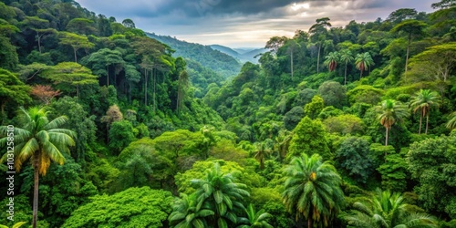 Lush vegetation of a rainforest in southeastern Brazil , plants, trees, green, vibrant, exotic, ecosystem, biodiversity