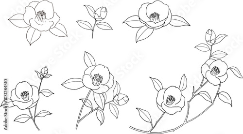 椿の線画ベクターイラストセット