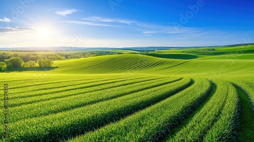 A picturesque landscape of rolling green hills under a bright blue sky with the sun shining down.