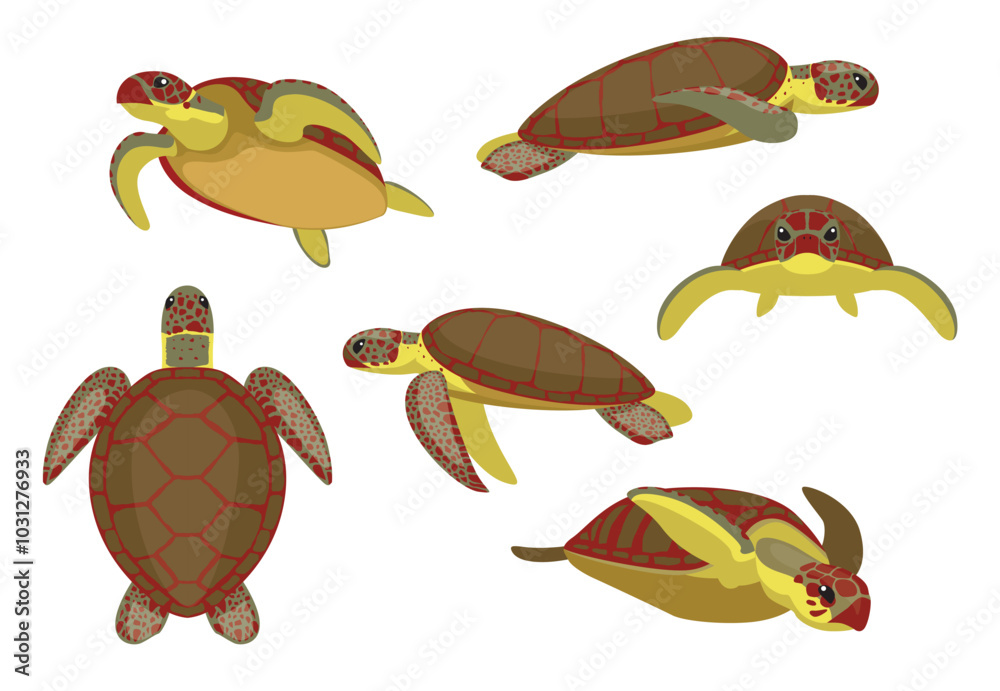 Fototapeta premium Sea Turtle Green Various Poses Vector Illustration