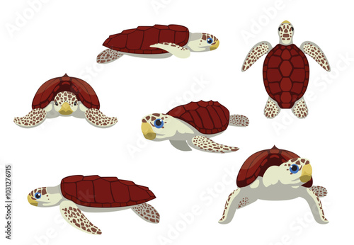 Sea Turtle Loggerhead Various Poses Vector Illustration
