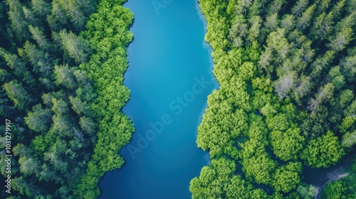 Aerial view of a river winding through a lush green forest.