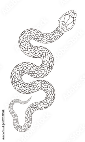 A simple cartoon snake pattern