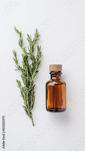 essential oil bottle with fresh rosemary sprig on white background