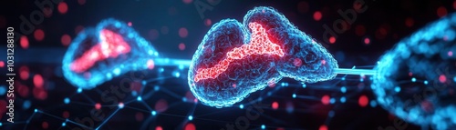 Digital display of thyroid and pituitary glands, representing how hormone imbalances are linked to metabolism