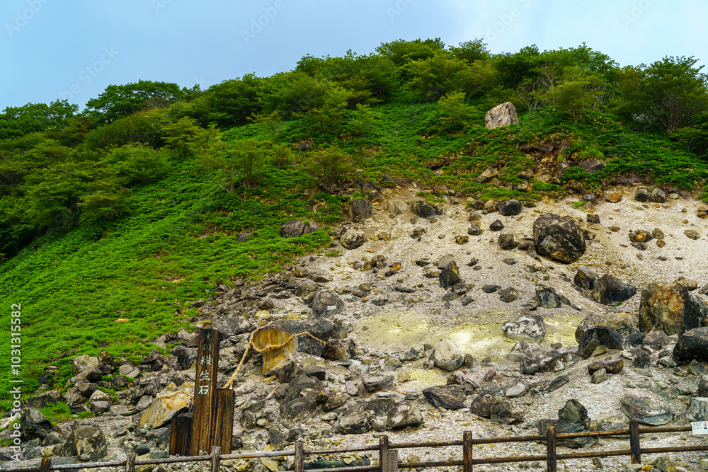 Φωτογραφία 殺生石　栃木県那須町