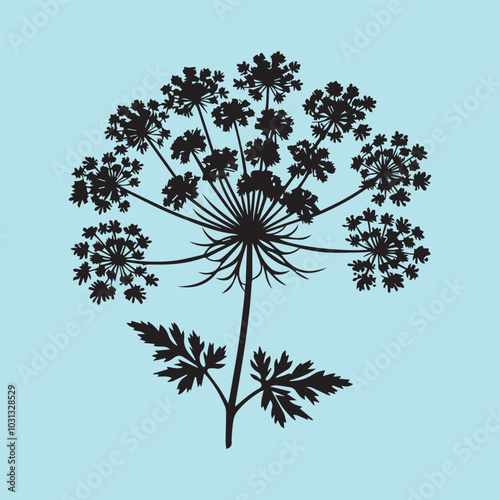 Queen Anne’s Lace silhouette vector icon black and white