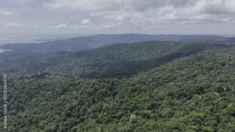 Drone orbits around the top of Brownsberg overlooking the lake below on partially cloudy day in Suriname Drone orbits around the top of Brownsberg overlooking the lake below on partially cloudy day in Suriname