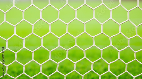 Soccer Goal Net Texture: Cl...