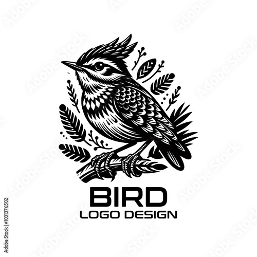 Bird Vector Logo Design photo