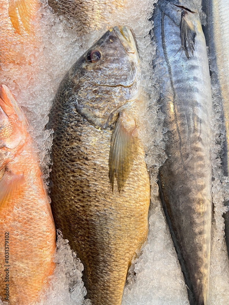 Display of fresh fish for sale at local market