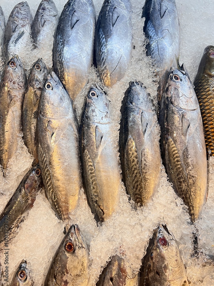 Display of fresh fish for sale at local market