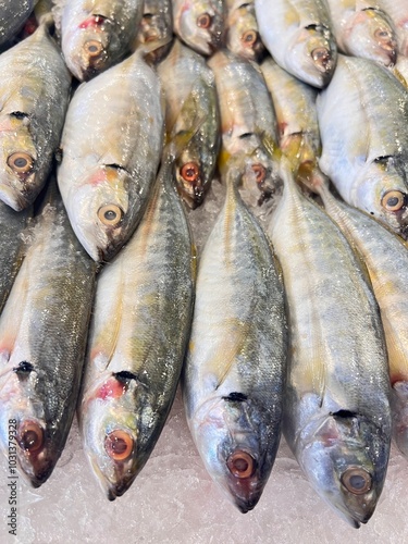 Obraz na płótnie Display of fresh fish for sale at local market w salonie