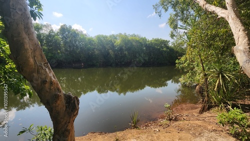 Принти на полотні Mary River in Kakadu, Northern Territory Australia