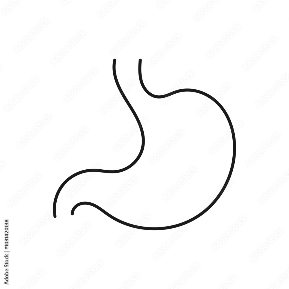 Stomach line icon. Flat design vector. Stomach line icon. Flat design vector.