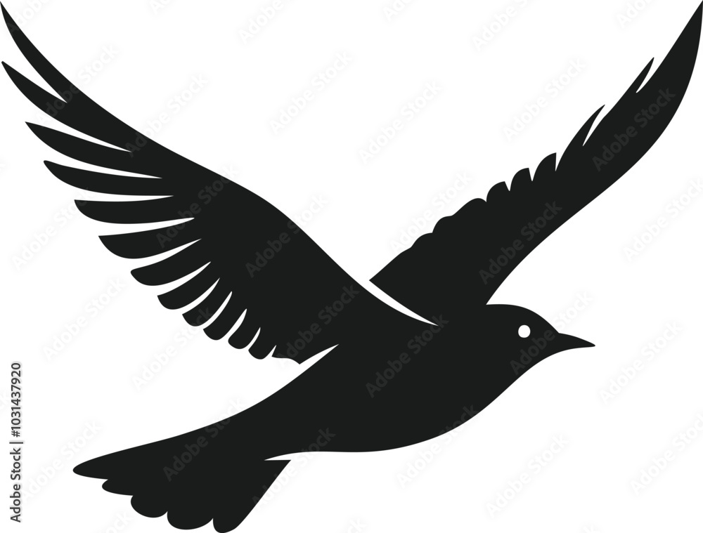 Fototapeta premium Silhouette of a bird flying free