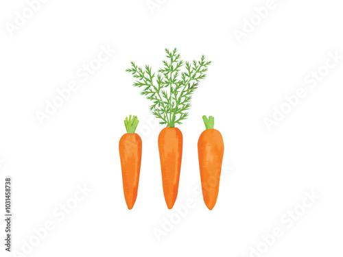 bunch of carrots