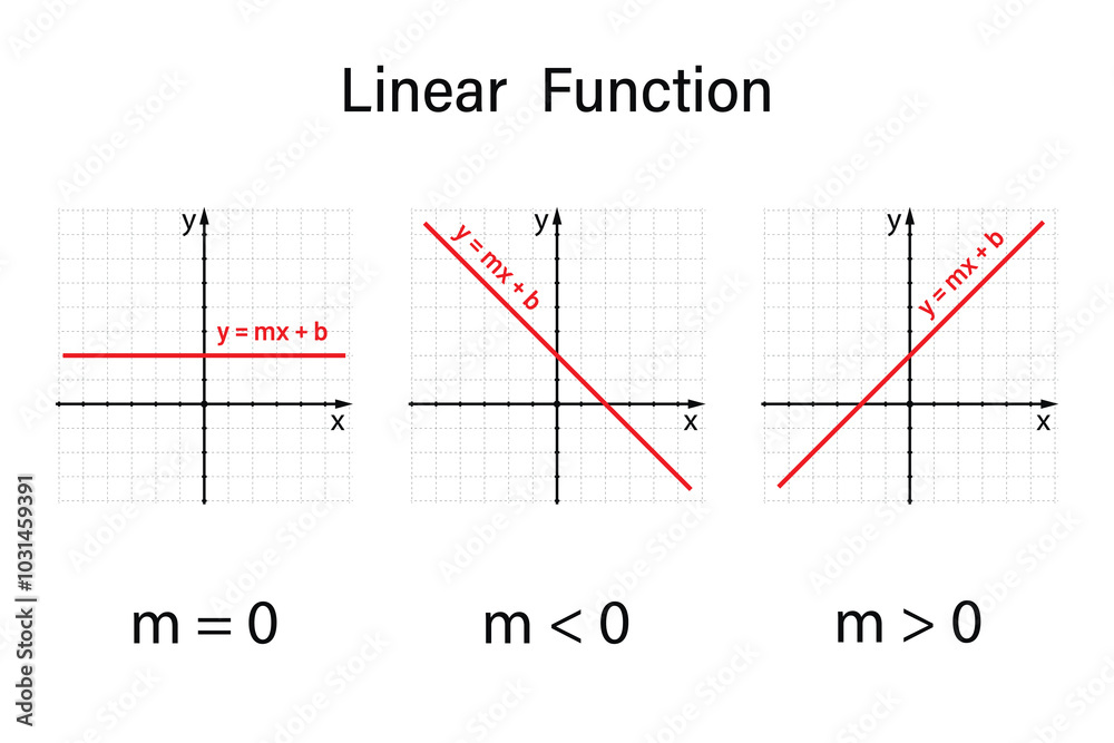 Linear Function on the white background. Education. Graphic diagram. School. Formula. Vector illustration. Linear Function on the white background. Education. Graphic diagram. School. Formula. Vector illustration.