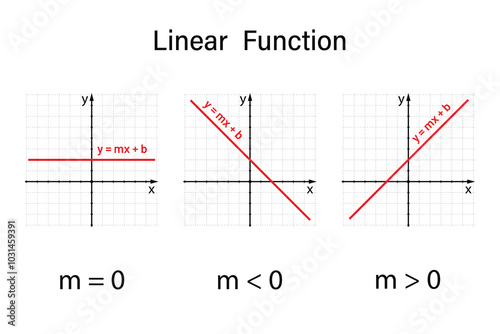 Linear Function on the white background. Education. Graphic diagram. School. Formula. Vector illustration.