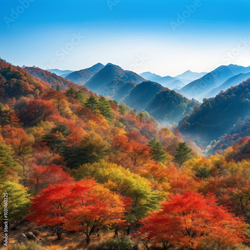 Autumn mountain scenery in Korea colored with autumn leaves