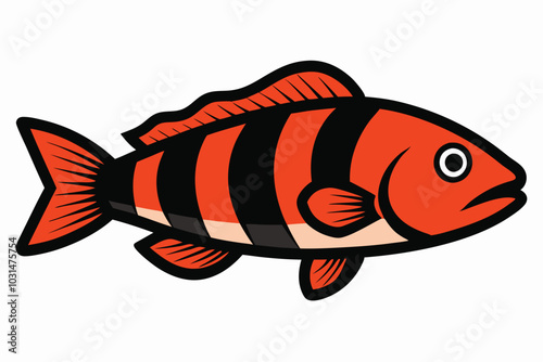 Solid color Wrasse animal vector design