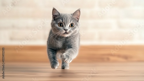 A playful gray kitten trots across a wooden floor, showcasing its curious nature against a light, textured background.