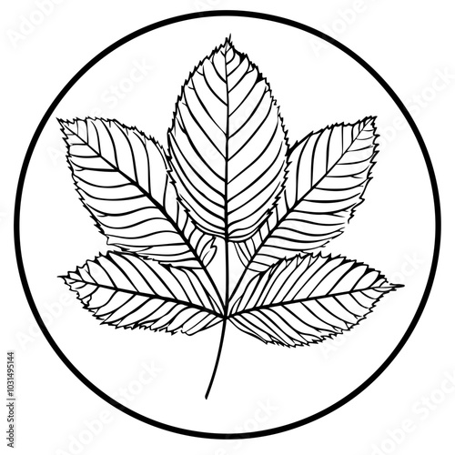 Chestnut Leaf