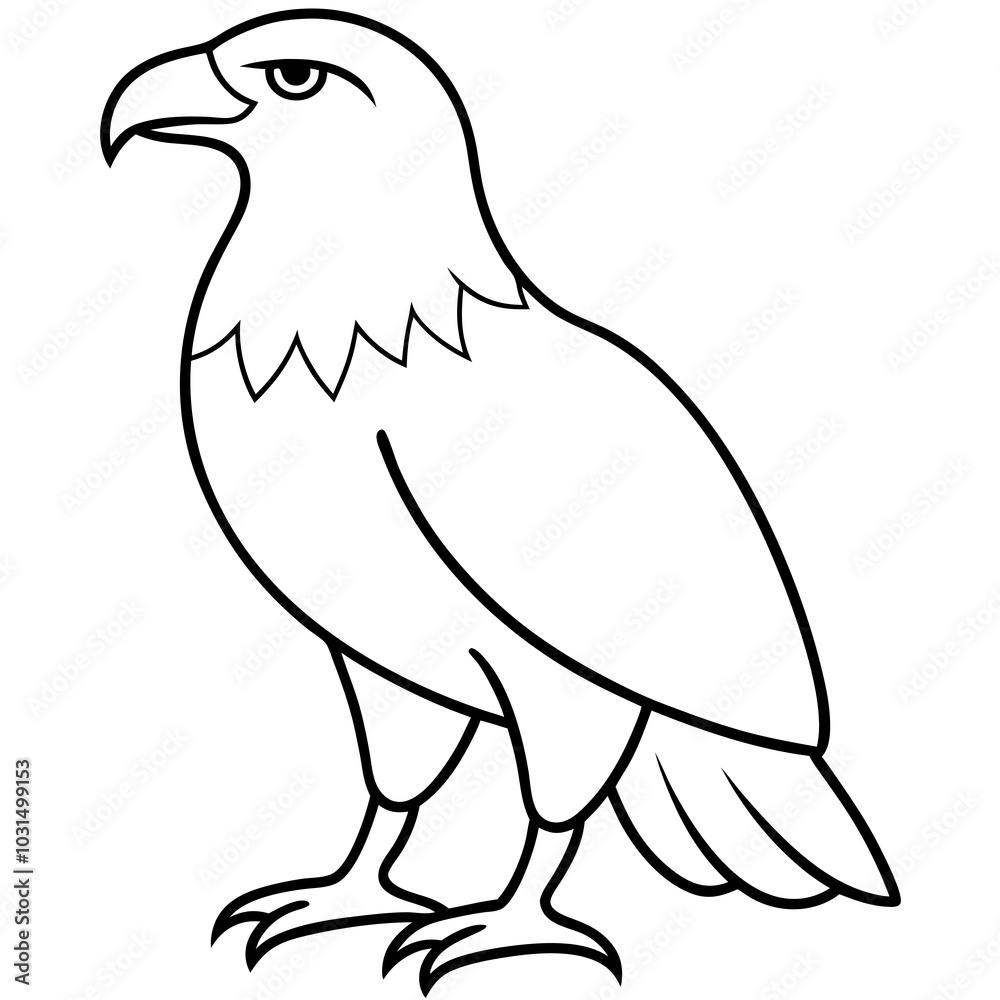 Eagle line art vector illustration Eagle line art vector illustration
