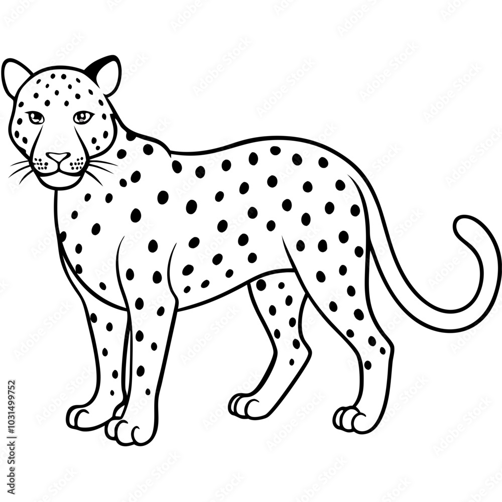 leopard cartoon isolated on white leopard cartoon isolated on white