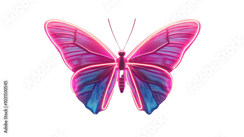 A vibrant and colorful butterfly showcasing bright pink and blue wings, perfect for nature and art-themed projects.