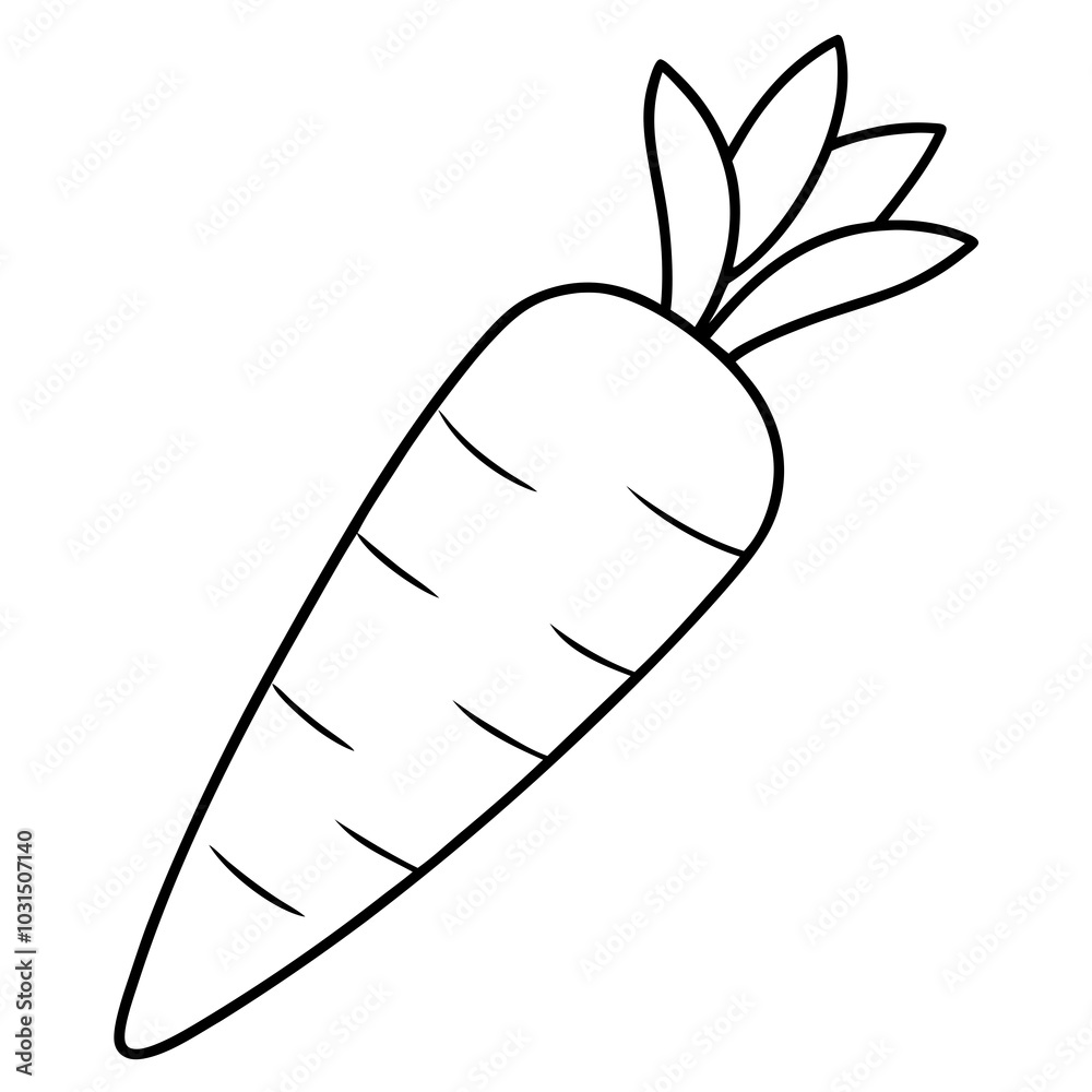 Carrot line art vector illustration Carrot line art vector illustration