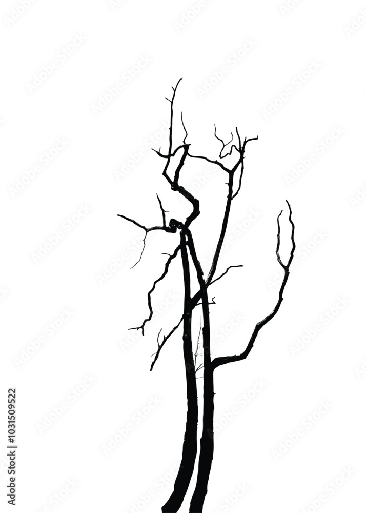 Fototapeta premium Silhouette of bare tree with branches isolated on white. Vector illustration
